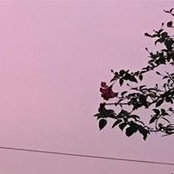 Foto de 陈凯欣
