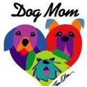 Phyllis Krasnokutsky's photo