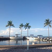 Priscilla Dawidowicz's photo