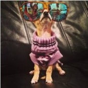 Barbara Morandi's photo