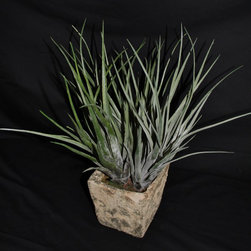 Aprils Flowers - Products
