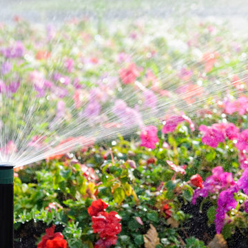 Sprinkler System Check Up | Wichita, Kansas