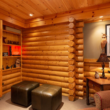 Modern Log Cabin Basement Remodel in Ann Arbor, Michigan