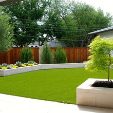 Front yard