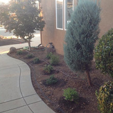 Sultana Front Yard Landscape Project