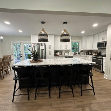 Main Level Renovations