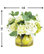 Pear and Hydrangea Centerpiece Arrangement