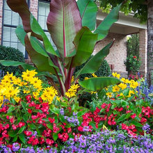 Container Gardens 2