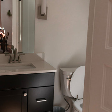 Whole House Remodel: Ann Arbor Hills
