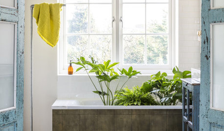 Quelles plantes pour la salle de bains ?