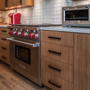 Chicago Lakewood Balmoral 1893 Farmhouse expands into contemporary living