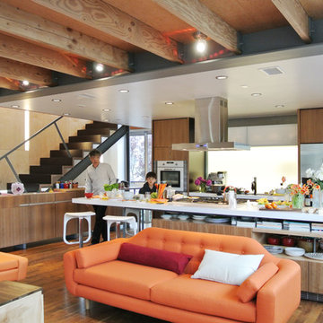 Venice Residence - (fer) studio