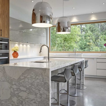Contemporary Kitchens