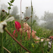Photo de Sahar Rashidi