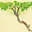 Imfeld Nursery Ltd.