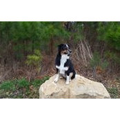 Jackie Bassham's photo