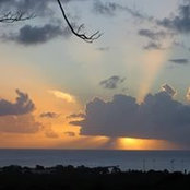 Barbara Steele's photo