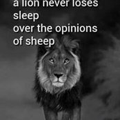 Kofi Alexander's photo