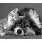 Claudia Udrescu's photo
