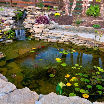 Ponds, Water Gardens, Water Falls, Water Features