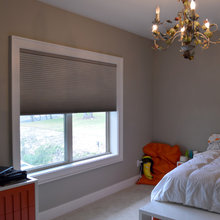 Cellular Shades And Roller Shades
