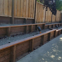 Side Yard