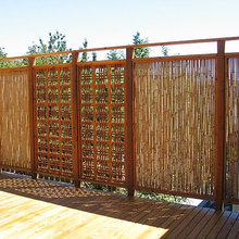 Landscape Ideas