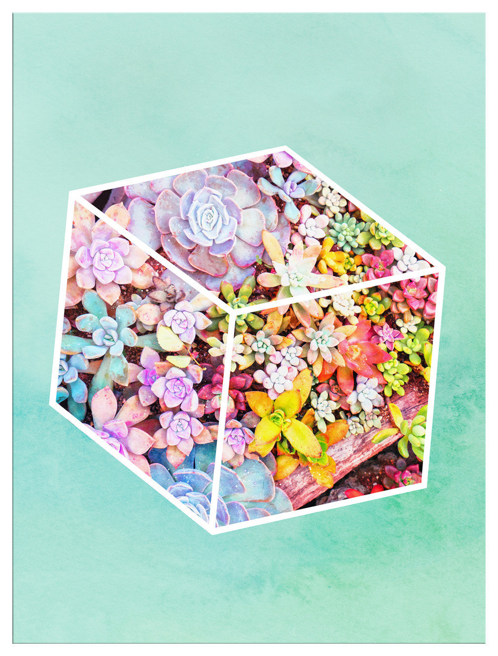 Ready2HangArt 'Garden Cube' Wrapped Canvas Succulent Wall Art, 16