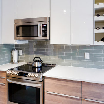 Boutique Condo Renovation