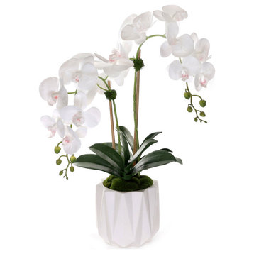 Real Touch Phalaenopsis Orchids in White Dimensional Pot