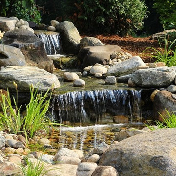 Water Features and Swimming Ponds