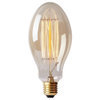 40W Edison Bulb Antique Light Bulb for Chandelier, Set of 10, Squirrel Cage Fila