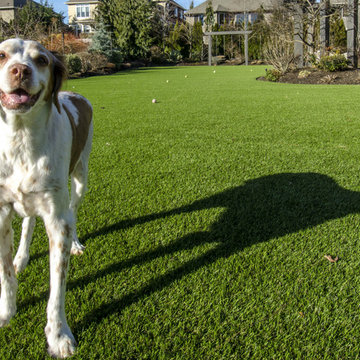 Lake Sammamish Backyard Putting Green