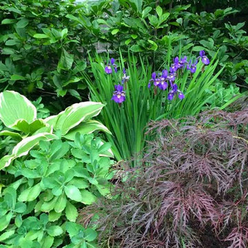 English Gardens