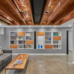 This is an example of a medium sized modern look-out basement in DC Metro with grey walls, concrete flooring and no fireplace.