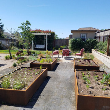 Planter Boxes & Vegetable Gardens