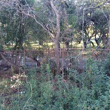 Tupelo lot photos
