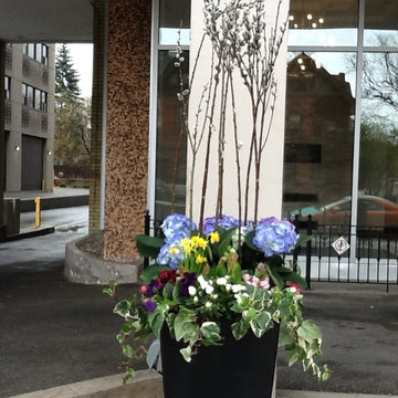 Spring Planter Arrangement