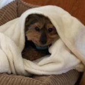 Andrea Shook's photo