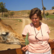 Sandy Lundeberg's photo