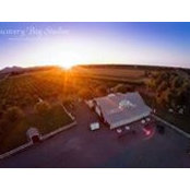 Meredith Nunn's photo
