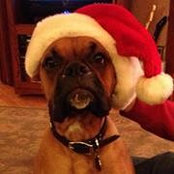 Kathy Branson's photo