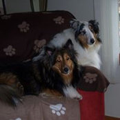 Nancy Skoog's photo