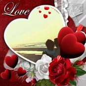 Sherri Mulholland's photo