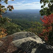 Natalie Pine's photo