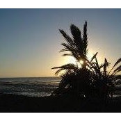 Samir El Manaa's photo