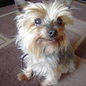 Stasia Morley's photo