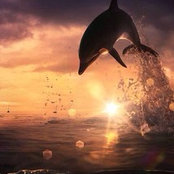 Pınar Gözek's photo