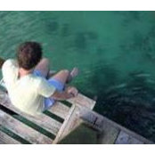 Peter Wellman's photo