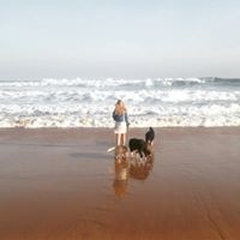 Beach House Constructions
